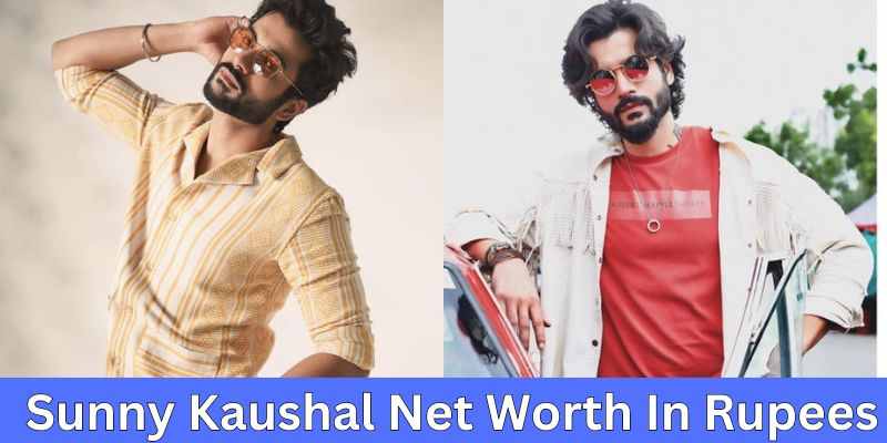 Sunny Kaushal Net Worth