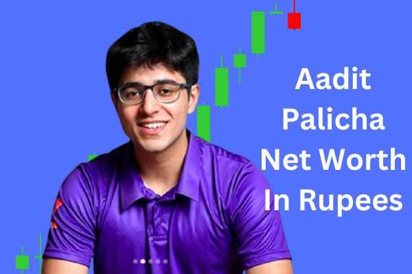 aadit palicha net worth in rupees