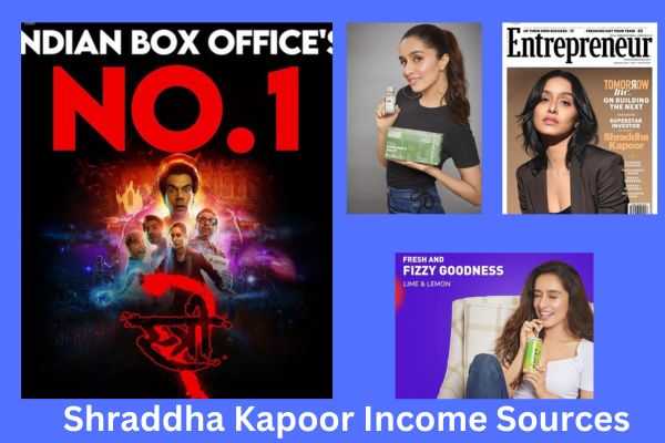 income sources of shraddha kapoor net worth