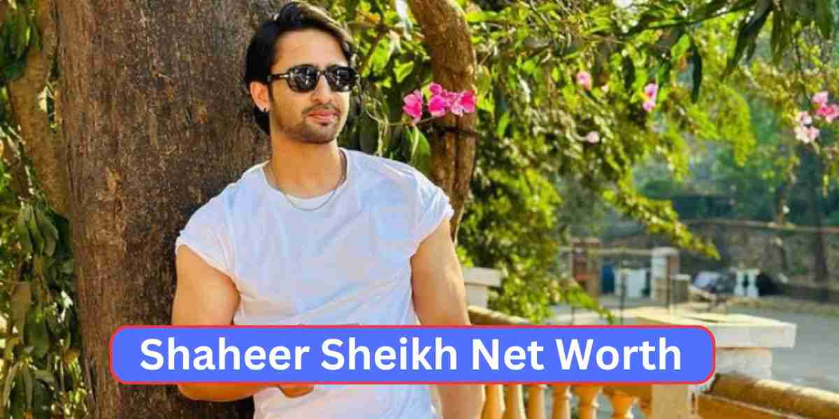 Shaheer Sheikh Net Worth