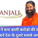 Patanjali Net Worth